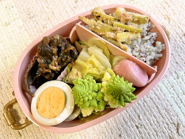 今日のお弁当