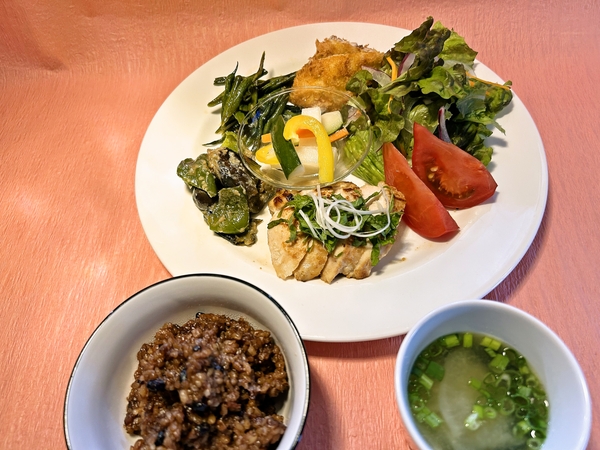 鶏むね肉の塩麹焼き