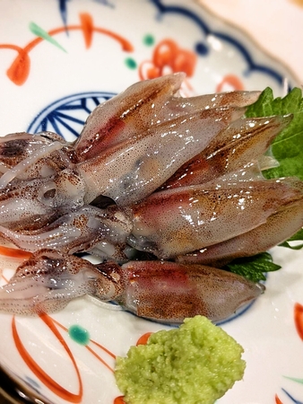 旬の生ホタルイカ