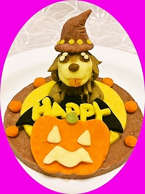 超 美味しく変換 マンマ ハロウィン犬用ケーキ