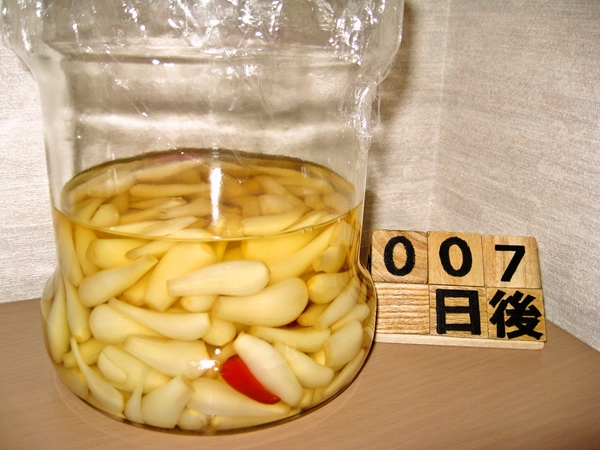 2015-06-30 らっきょう甘酢漬け(７日後)