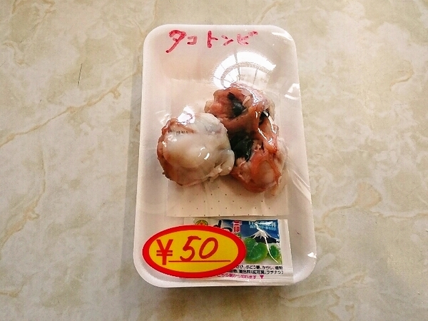 タコトンビ(タコのくちばし)