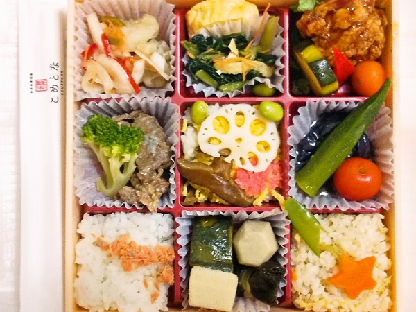 夏野菜弁当