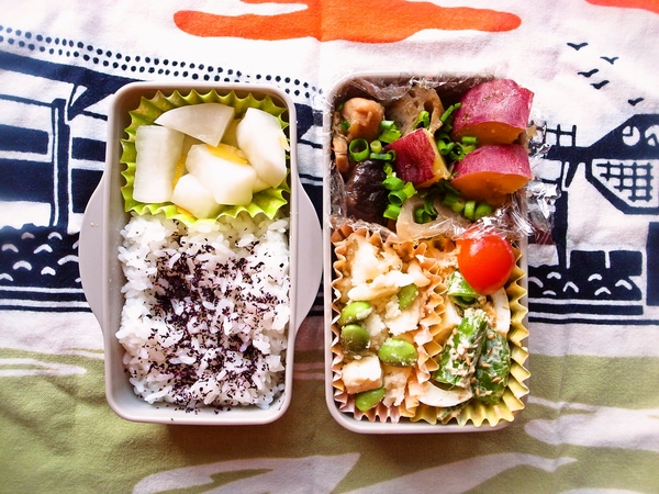 鶏肉とさつまいも、れんこんの煮物弁当