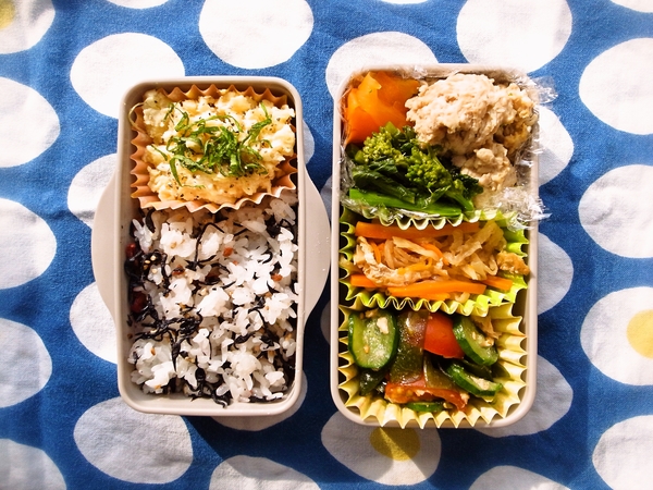 菜の花と鶏つくねの煮物弁当