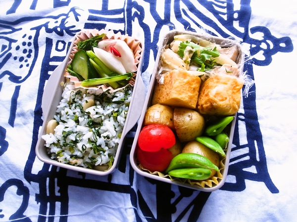 ・鶏肉とセロリの中華風塩炒め弁当