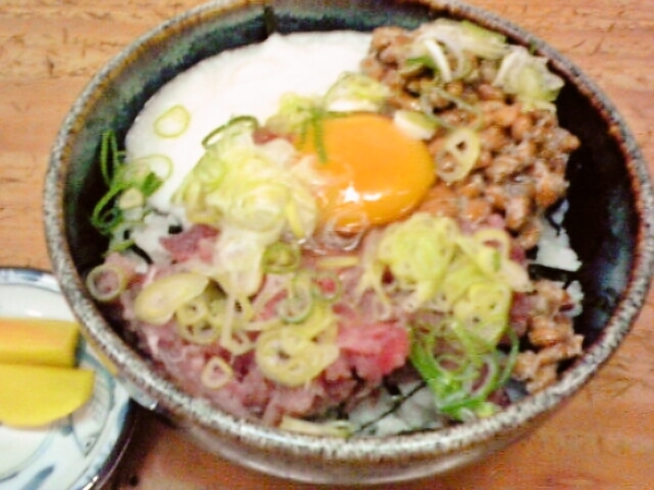 山納丼