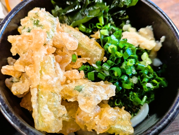 ごぼ天ぶっかけうどん