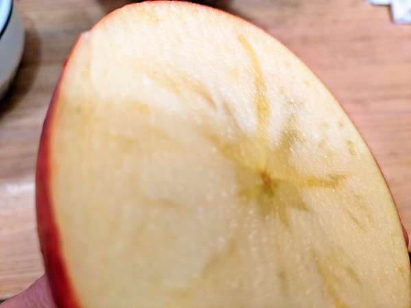 流行りのカット