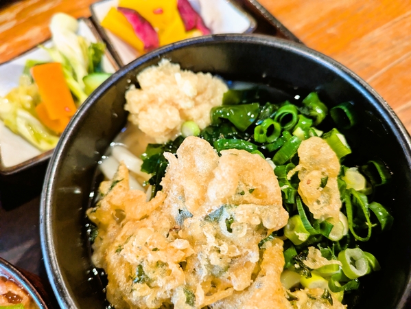 天麩羅しょうがうどん