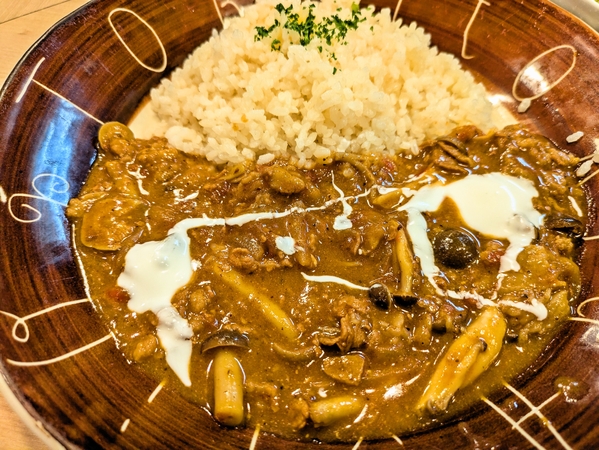 ビ一フストロガノフライス