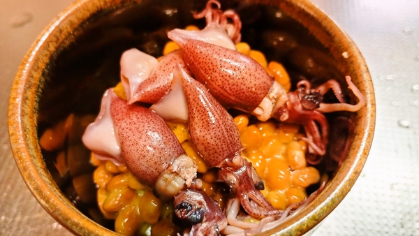 ホタルイカ納豆