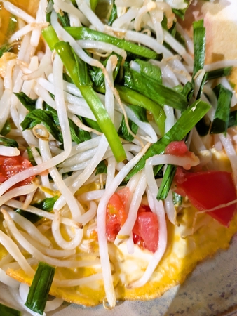 オレンジページみてつくったやつ。