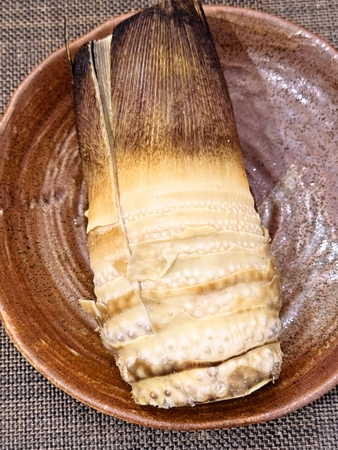 自分で掘ったタケノコ(^^)