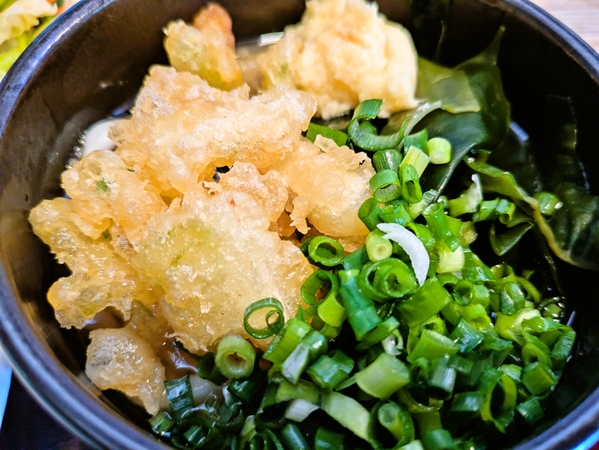ゴボ天うどん