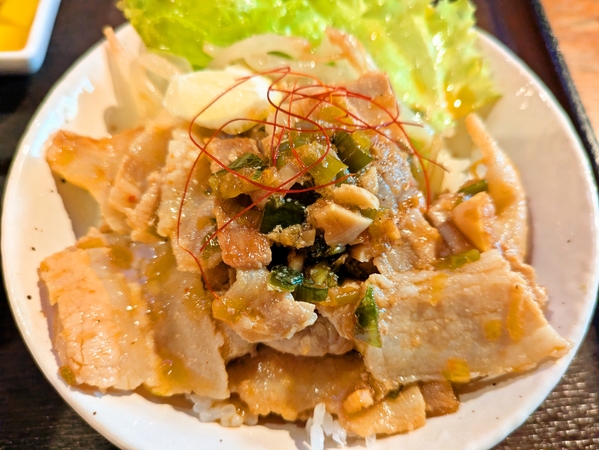 ミニ豚丼