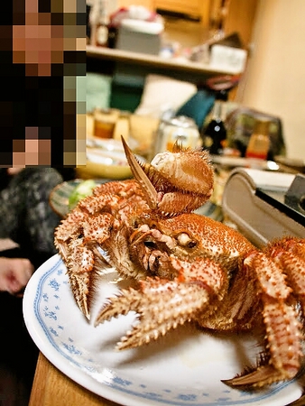 けがに