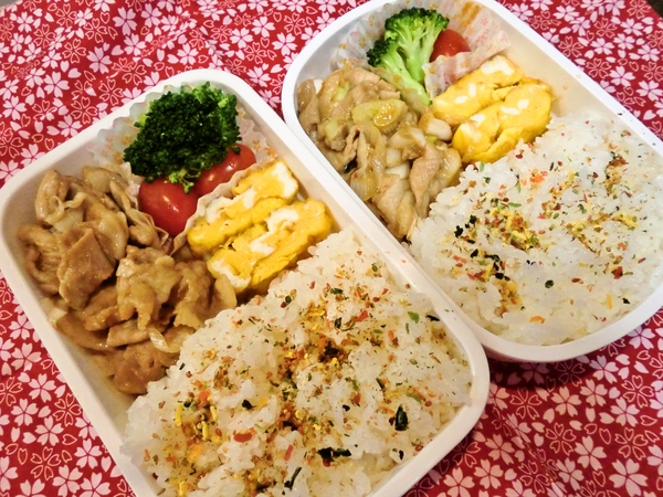 両親に感謝をこめて作ったお弁当です～