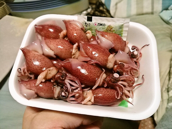 ほたるいか☆