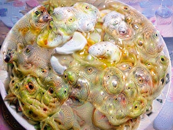 google Deepdream