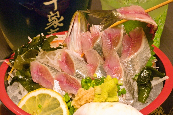鰯のお造り