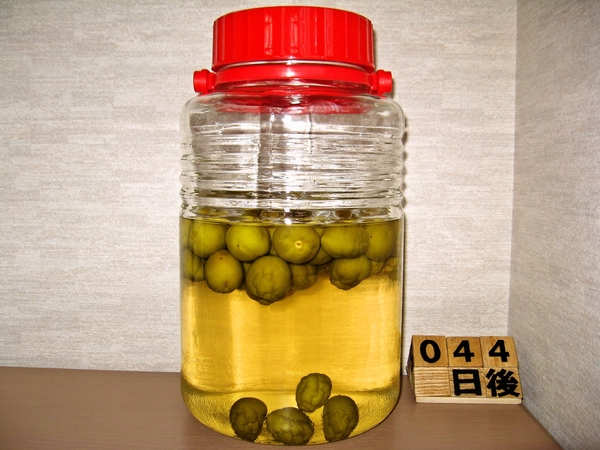 2015-07-10 梅酒