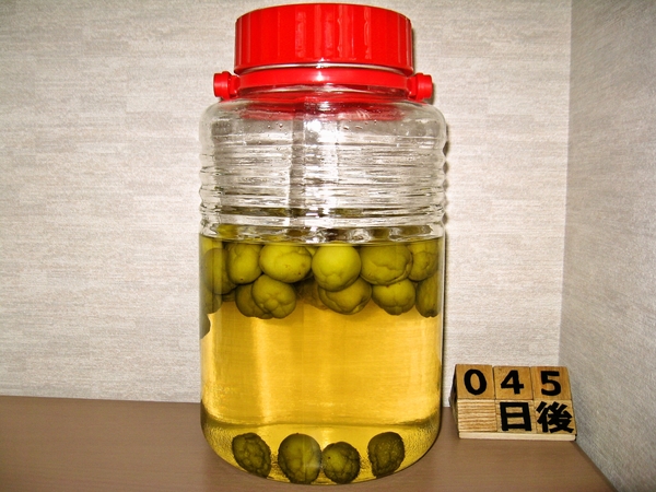 2015-07-11 梅酒