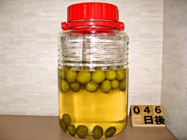 2015-07-12 梅酒