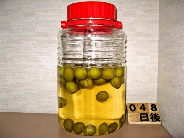 2015-07-14 梅酒
