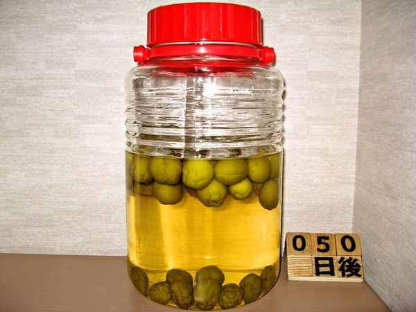 2015-07-16 梅酒