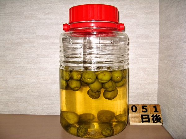 2015-07-17 梅酒