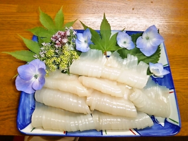 朝イカの御造り