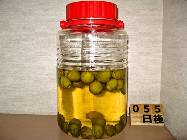 2015-07-21 梅酒