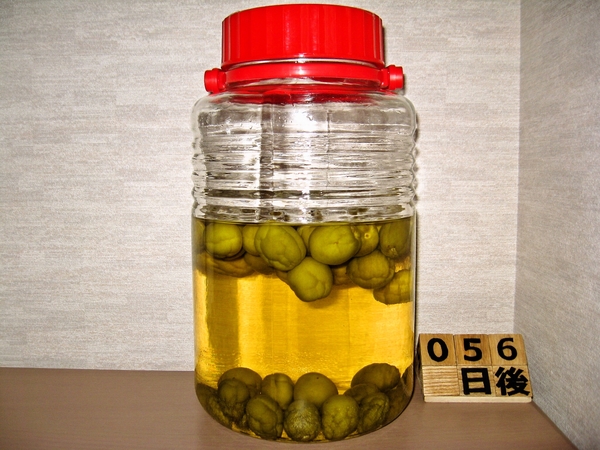 2015-07-22 梅酒