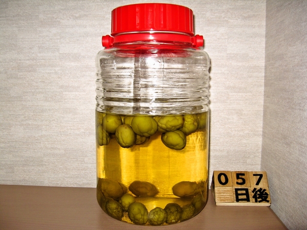 2015-07-23 梅酒