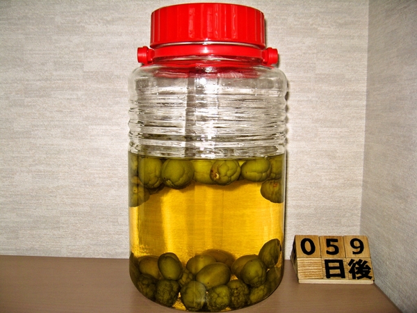 2015-07-25 梅酒
