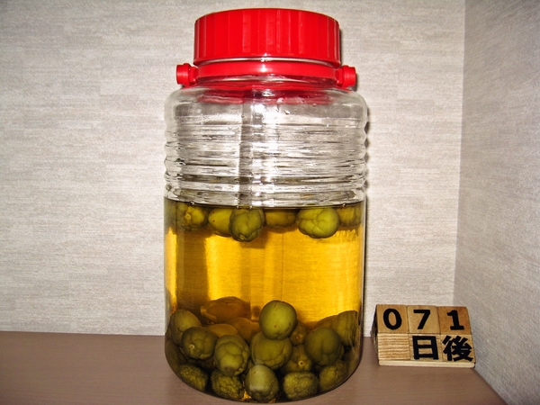 2015-08-06 梅酒