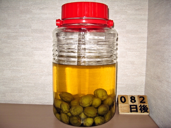 2015-08-17 梅酒