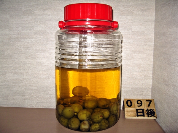 2015-09-01 梅酒