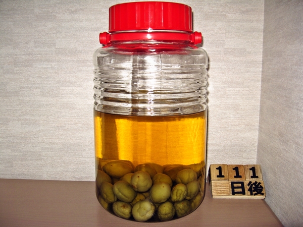 2015-09-15 梅酒