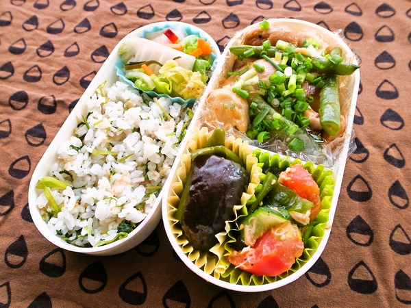 里芋と鶏肉の中国風煮物弁当