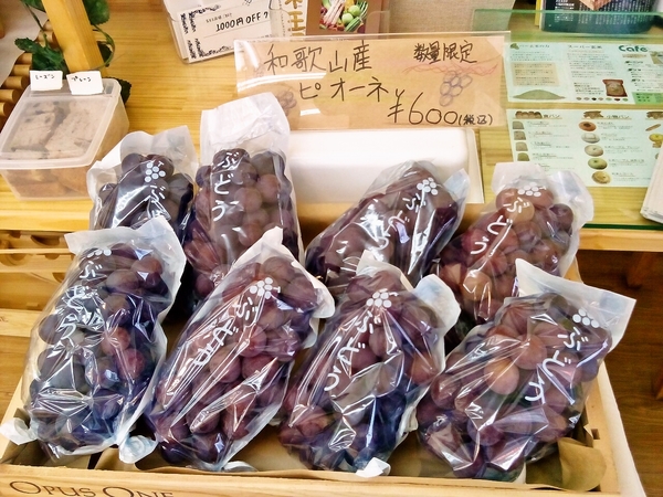 和歌山県伊都郡かつらぎ町御所産のピオーネ♪
