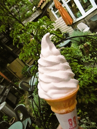柏木牧場のソフトクリーム♪