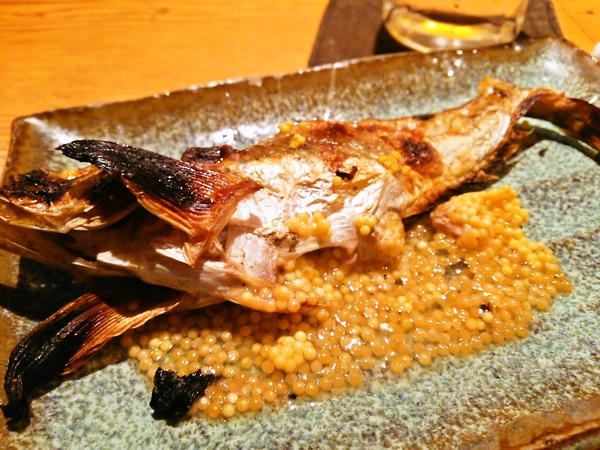 ハタハタ♪
