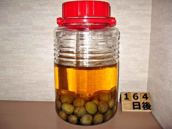 2015-11-07 梅酒