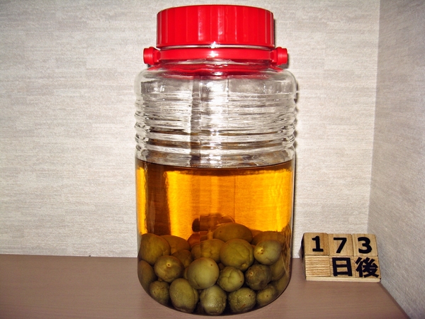 2015-11-16 梅酒