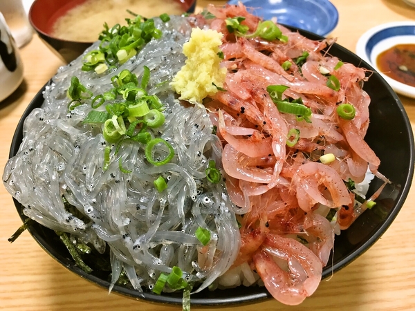 沼津漁港にて