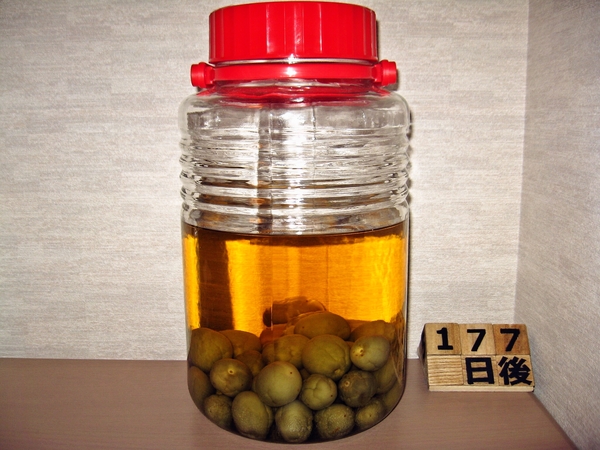 2015-11-20 梅酒