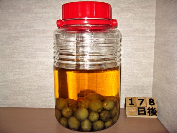 2015-11-21 梅酒