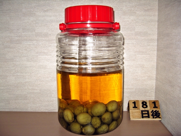 2015-11-24 梅酒
